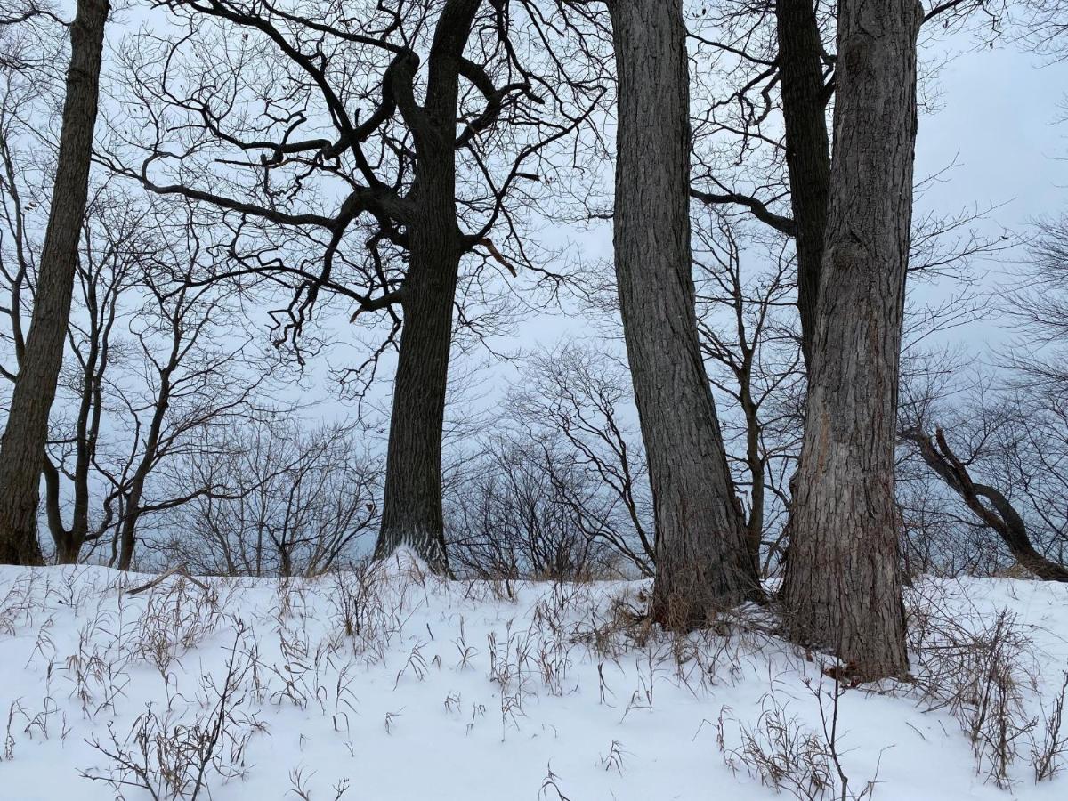 The Sanctuary At Deer Dune , Saugatuck Exterior foto